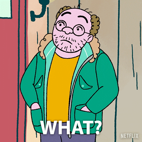 Bojack Horseman GIF by NETFLIX