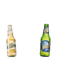 cervezagolden vacacionesextra Sticker by PilsenerSV
