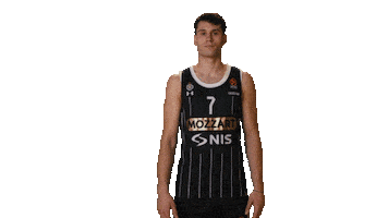 Partizan Sticker by sportmts