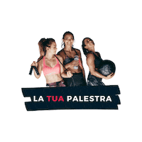 Gym Sticker by AIEM FITNESS