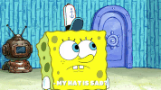 season 9 gary's new toy GIF by SpongeBob SquarePants