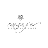 EmergeMedSpa emerge tulsa emerge med spa emerge med Sticker