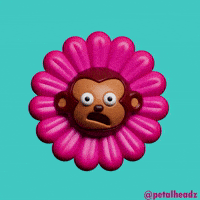 Funny Meme Wow GIF by Evan Hilton