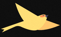 Art Bird GIF by P.S. ARTS