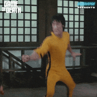 Martial Arts Film GIF by Arrow Video