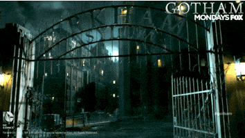 arkham asylum gotham GIF by Fox TV