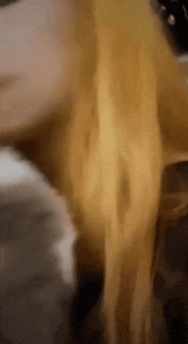 wikitree giphyupload GIF