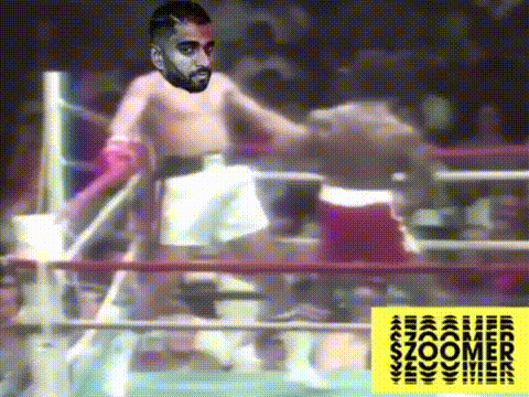 Boxing Rahul GIF by Zoomer