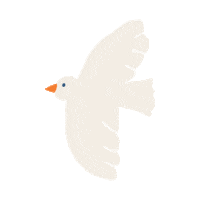 Baby Adapt Sticker by Ergobaby