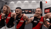 happy sport GIF by Essendon FC