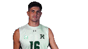 Rainbow Warriors Point Sticker by Hawaii Athletics