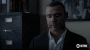 Frustrated Ray Donovan GIF by Showtime