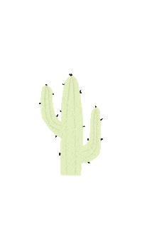 Illustration Cactus Sticker by HEJORGANIC