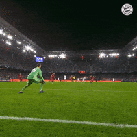 Champions League Parade GIF by FC Bayern Munich
