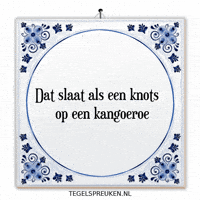 Humor Nl GIF by Tegelspreuken.nl