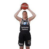 Basketball Sticker by Borås Basket