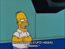 homer simpson television GIF