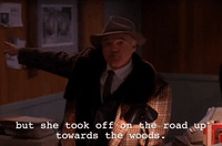 Season 2 Episode 22 GIF by Twin Peaks on Showtime