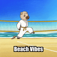 Summer Beach GIF by Masterfurdinand