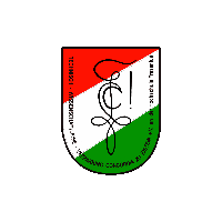 TwvConcordiaIdstein giphyupload idstein twvc twvconcordia Sticker