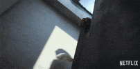 Wyatt Russell Boo GIF by NETFLIX