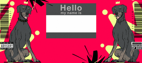 Snoop Dogg Tag GIF by Ron The Killer