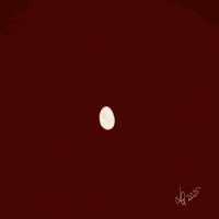 Digital Art Owl GIF