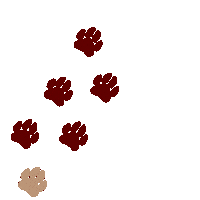 kuromies_xxx dog sticker walking shiba Sticker