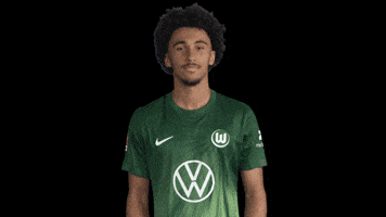 France No GIF by VfL Wolfsburg