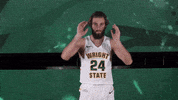 Ncaa Sports Sport GIF by Wright State University Athletics