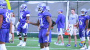 KansasJayhawks dance ku jayhawks rockchalk GIF
