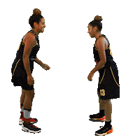Houilles Sticker by SOH Basketball