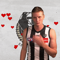 collingwoodfc pies collingwood magpies collingwoodfc GIF