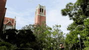 uf go gators GIF by University of Florida