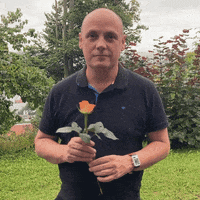 Flowers Roses GIF by SPD Landtagsfraktion Baden-Württemberg