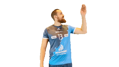 SWD_Powervolleys_Dueren giphyupload wave volleyball winken Sticker