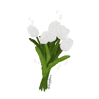 msgigiyu illustration white flower drawing Sticker