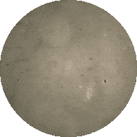 hollmanninternational wall new offer hollmann hollmann international Sticker