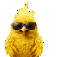 Happy Summer Sticker by Travix International