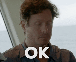 Anders Holm Ok GIF by Shark Week