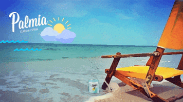 Happy Fun GIF by Palmia Beer