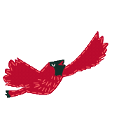 Class Of 2030 Sticker by WashU