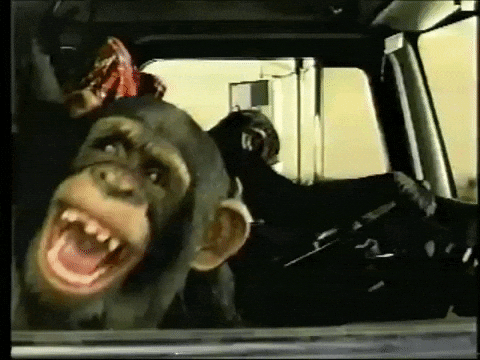 Cracking Up Lol GIF - Find & Share on GIPHY