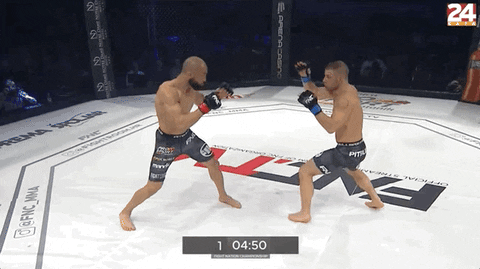 MonarchGlen17 giphyupload GIF