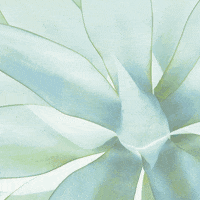 Lunettes En Bois GIF by Mou Company