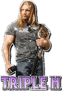 Wwe Sticker