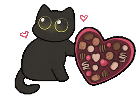 Valentines Day Chocolate Sticker