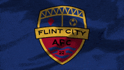 United Football GIF by USL