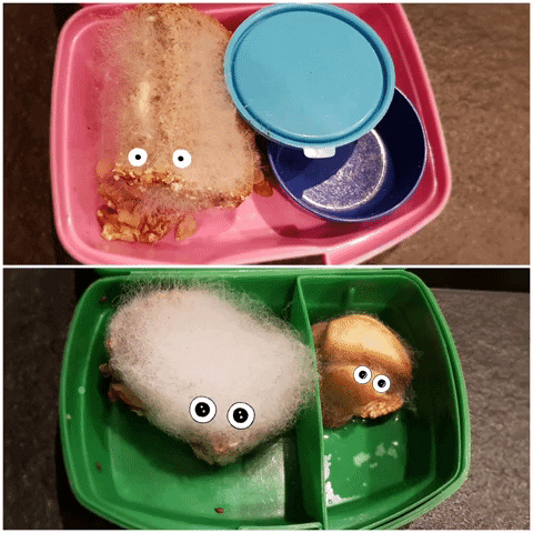 thorstenabeln bread its alive pets from the lunch box GIF