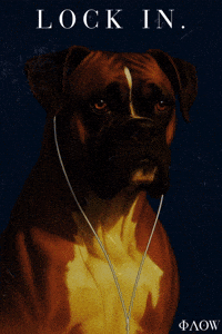 Lock In Dog GIF by George Longovitis